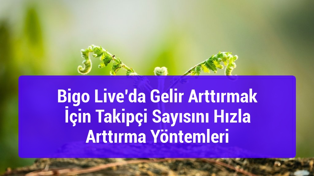 Bigo Live’da Gelir Arttırmak İçin Takipçi Sayısını Hızla Arttırma Yöntemleri