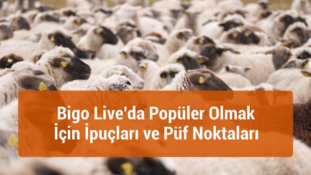 Bigo Live’da Popüler Olmak İçin İpuçları ve Püf Noktaları