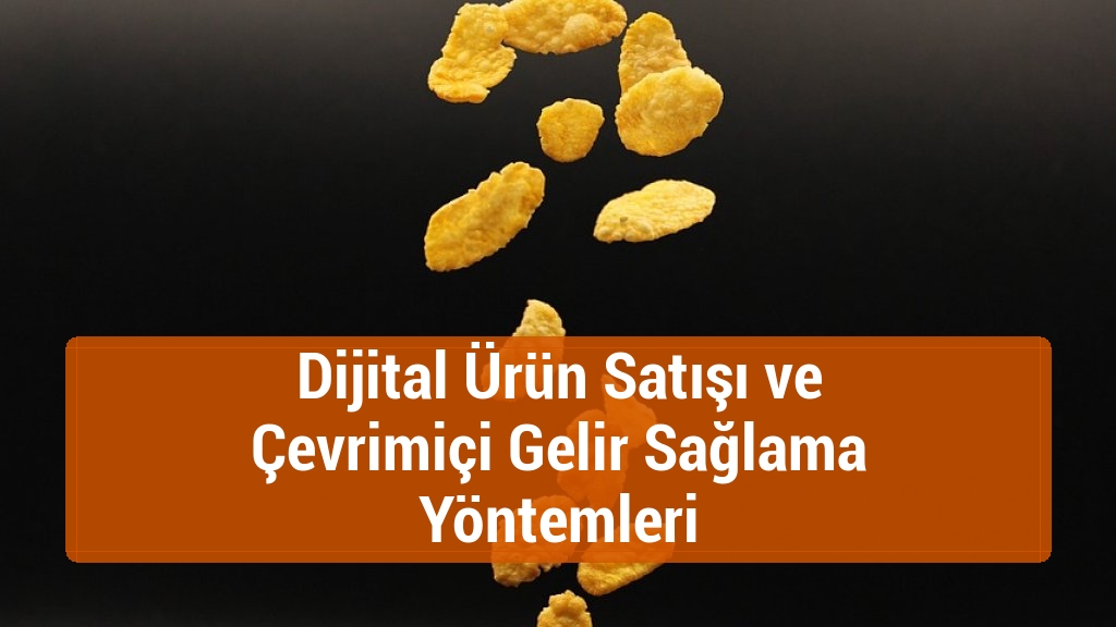 Dijital Ürün Satışı ve Çevrimiçi Gelir Sağlama Yöntemleri