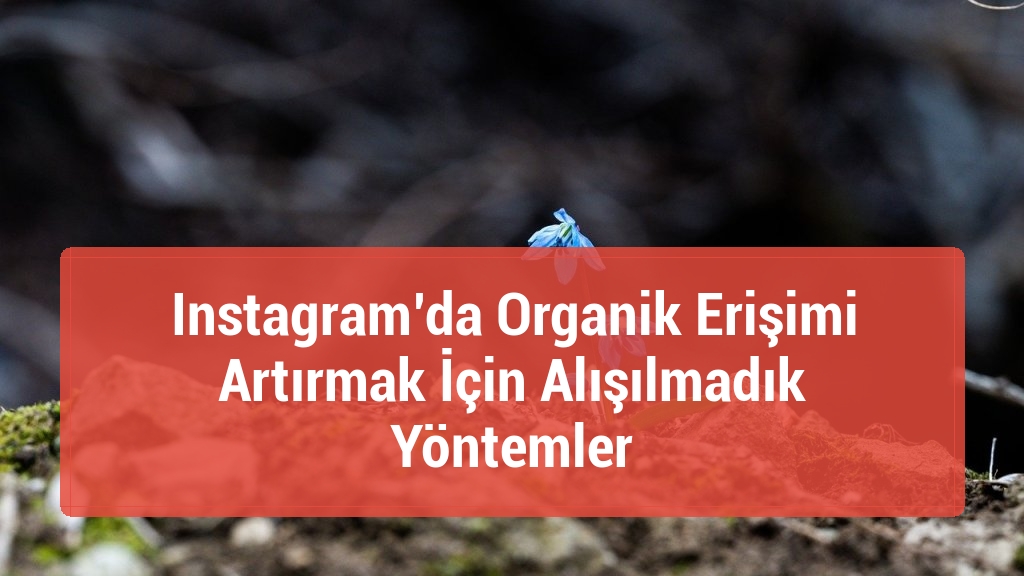 Instagram’da Organik Erişimi Artırmak İçin Alışılmadık Yöntemler