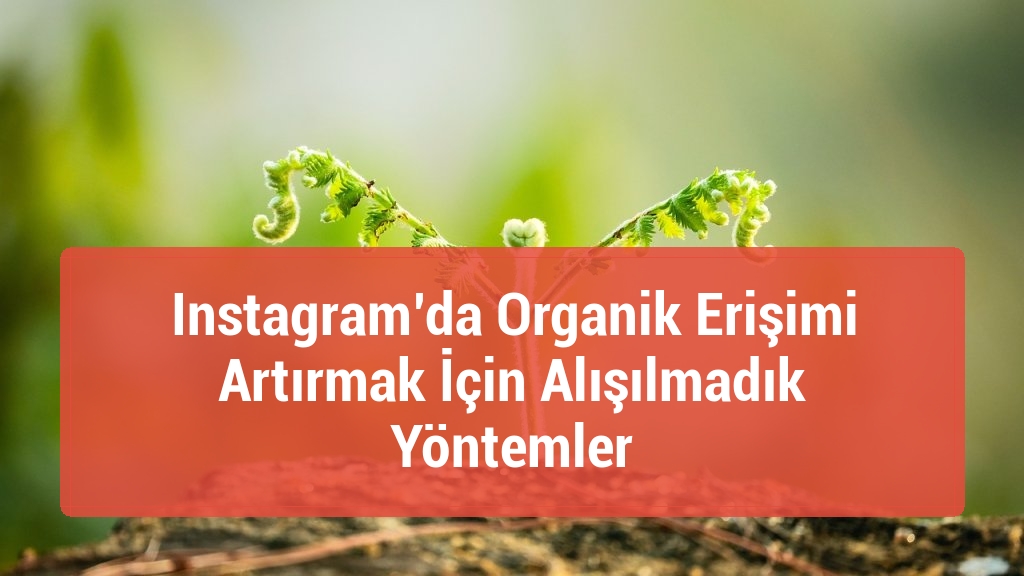 Instagram’da Organik Erişimi Artırmak İçin Alışılmadık Yöntemler