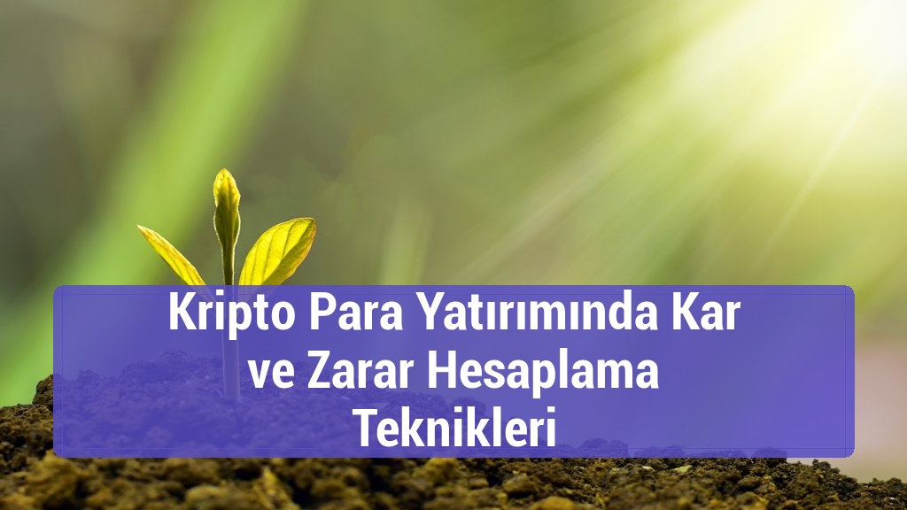 Kripto Para Yatırımında Kar ve Zarar Hesaplama Teknikleri