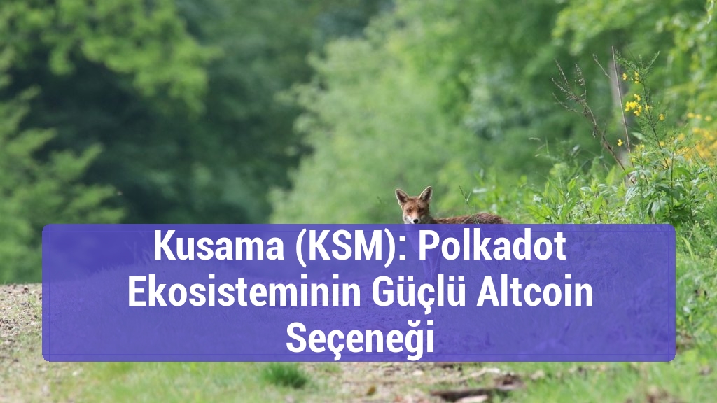 Kusama (KSM): Polkadot Ekosisteminin Güçlü Altcoin Seçeneği