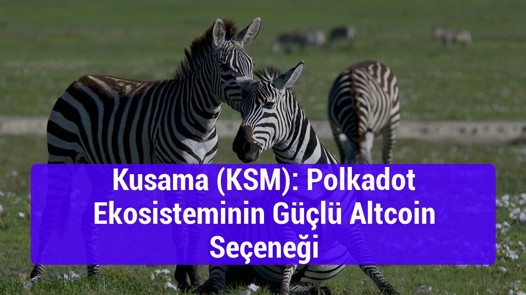 Kusama (KSM): Polkadot Ekosisteminin Güçlü Altcoin Seçeneği