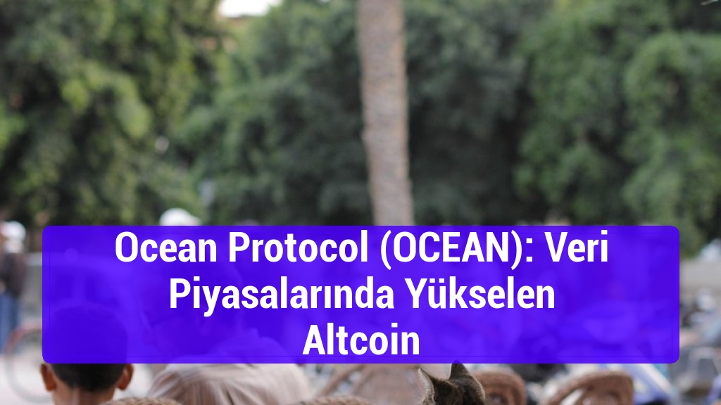 Ocean Protocol (OCEAN): Veri Piyasalarında Yükselen Altcoin