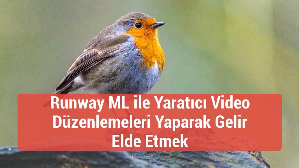 Runway ML ile Yaratıcı Video Düzenlemeleri Yaparak Gelir Elde Etmek