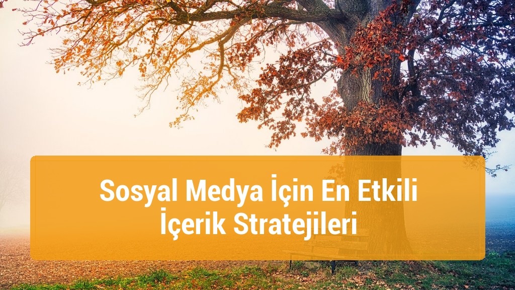 Sosyal Medya İçin En Etkili İçerik Stratejileri