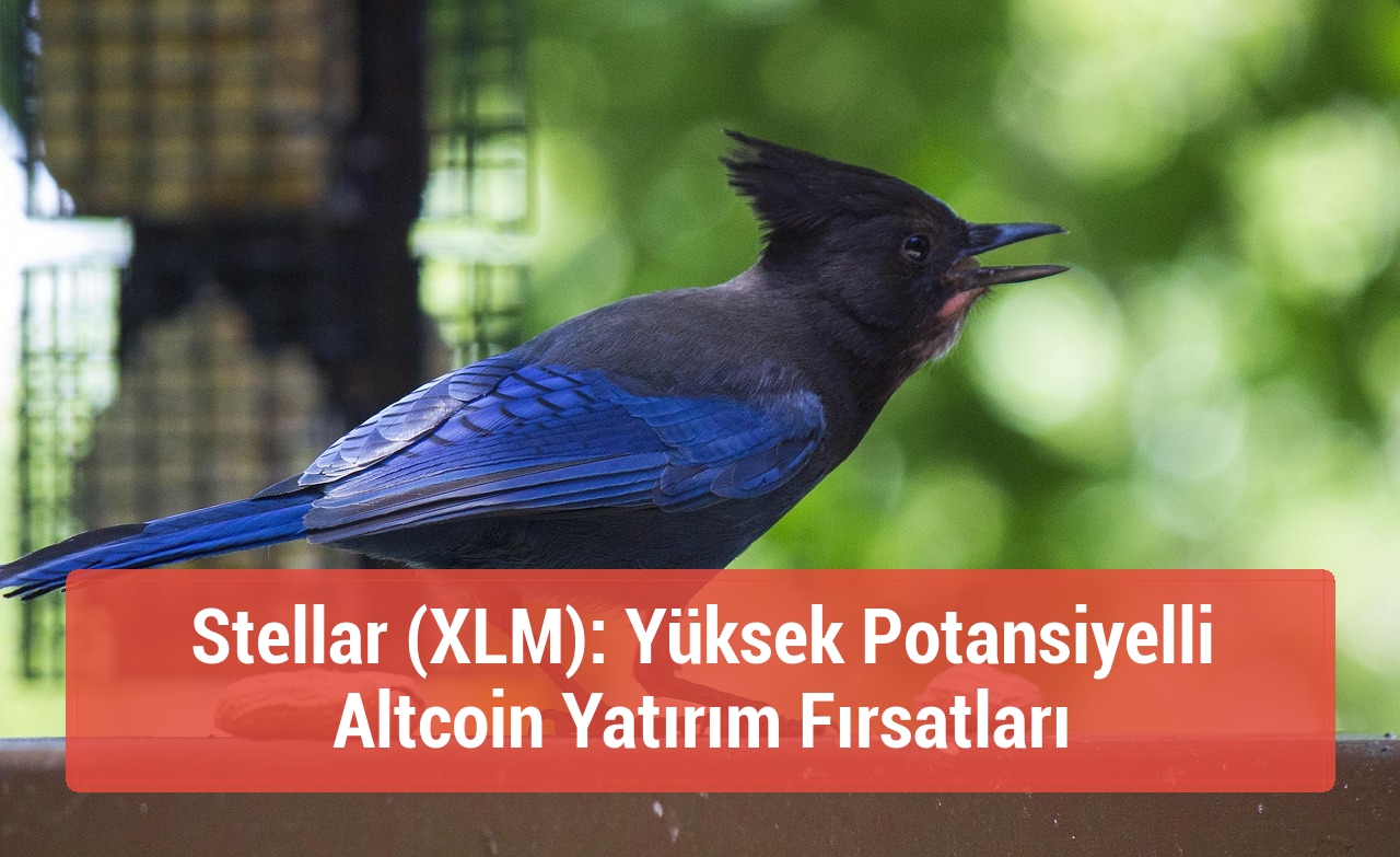 Stellar (XLM): Yüksek Potansiyelli Altcoin Yatırım Fırsatları