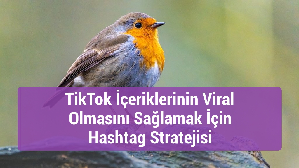 TikTok İçeriklerinin Viral Olmasını Sağlamak İçin Hashtag Stratejisi