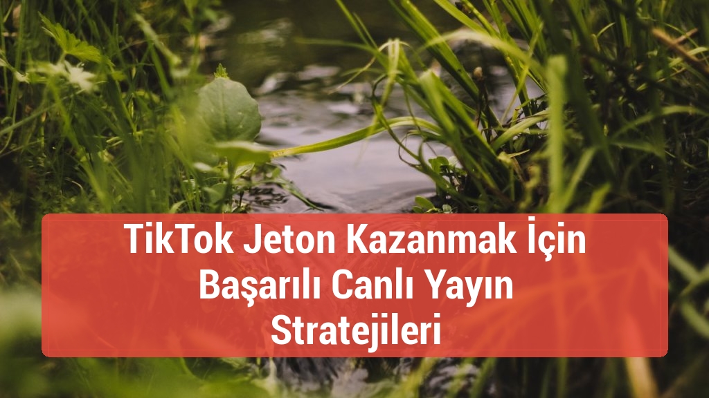 TikTok Jeton Kazanmak İçin Başarılı Canlı Yayın Stratejileri