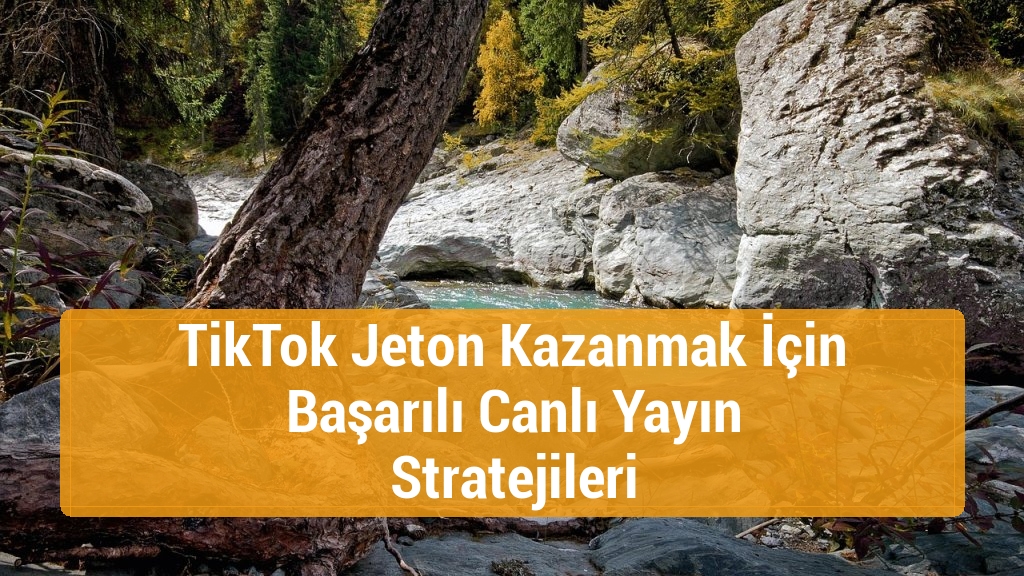 TikTok Jeton Kazanmak İçin Başarılı Canlı Yayın Stratejileri