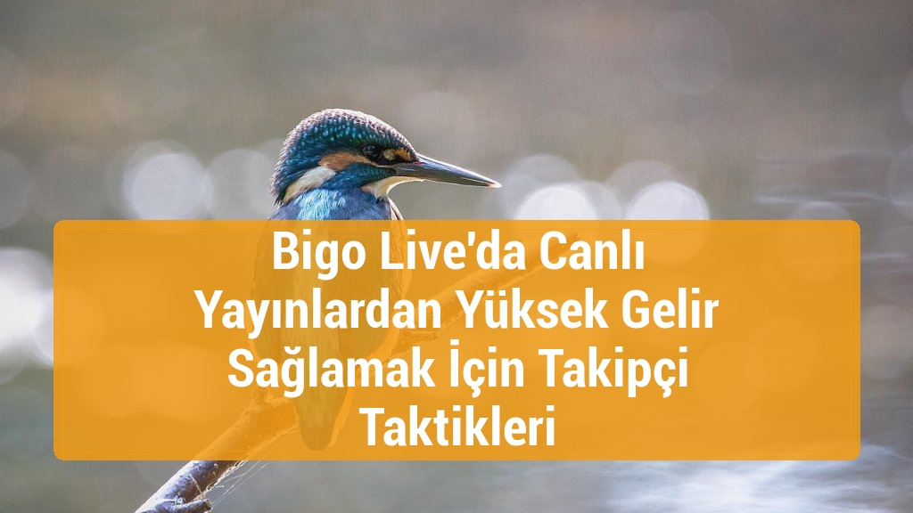 Bigo Live'da Canlı Yayınlardan Yüksek Gelir Sağlamak İçin Takipçi Taktikleri