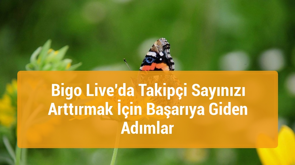 Bigo Live’da Takipçi Sayınızı Arttırmak İçin Başarıya Giden Adımlar