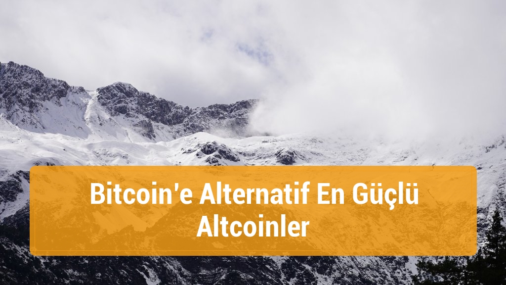 Bitcoin’e Alternatif En Güçlü Altcoinler