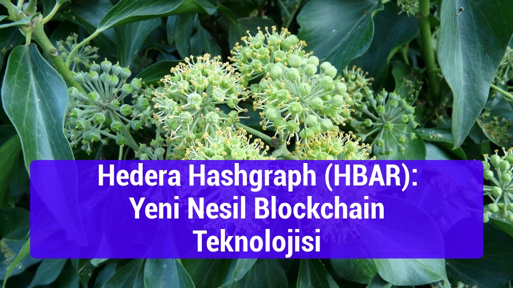 Hedera Hashgraph (HBAR): Yeni Nesil Blockchain Teknolojisi