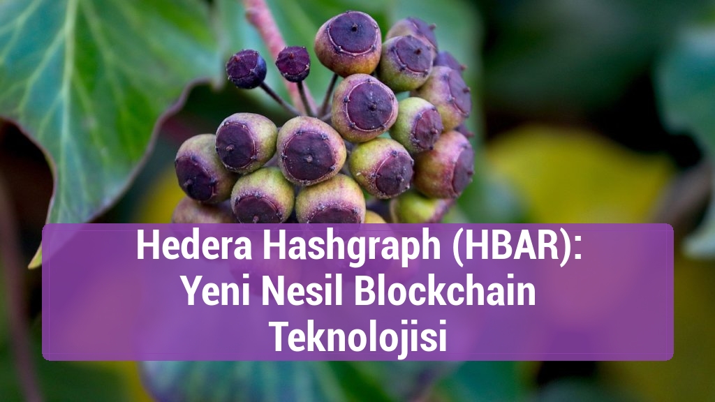Hedera Hashgraph (HBAR): Yeni Nesil Blockchain Teknolojisi