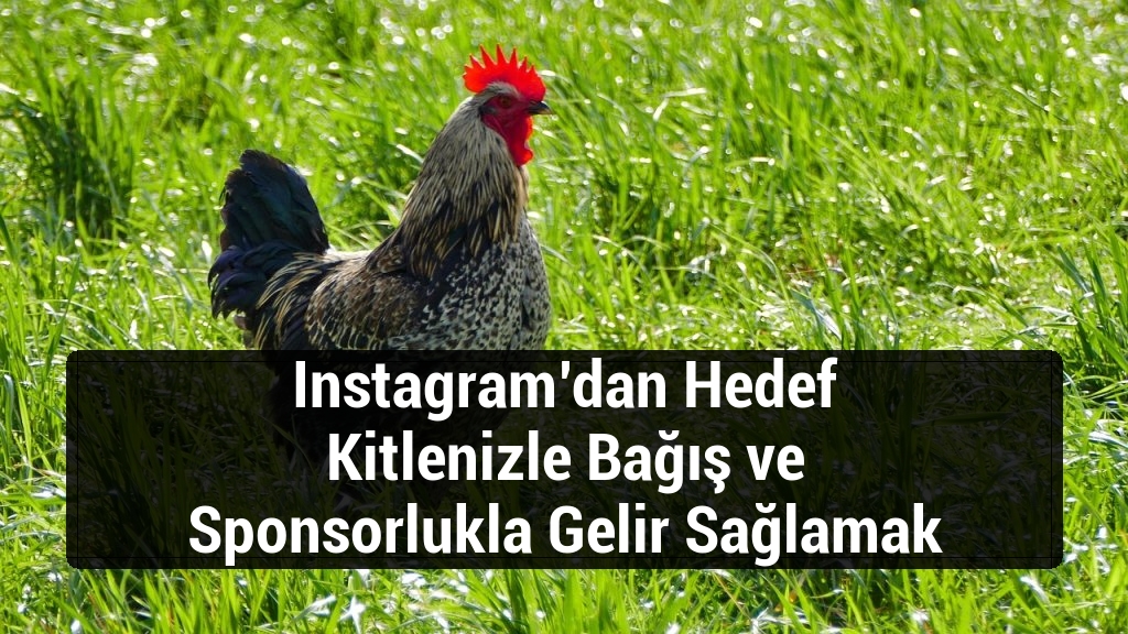 Instagram’dan Hedef Kitlenizle Bağış ve Sponsorlukla Gelir Sağlamak