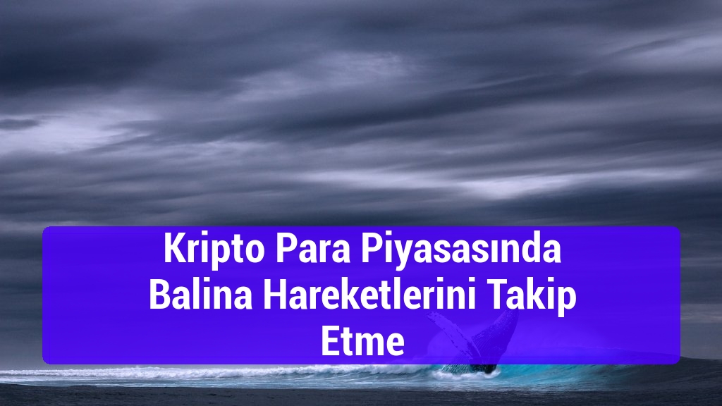 Kripto Para Piyasasında Balina Hareketlerini Takip Etme