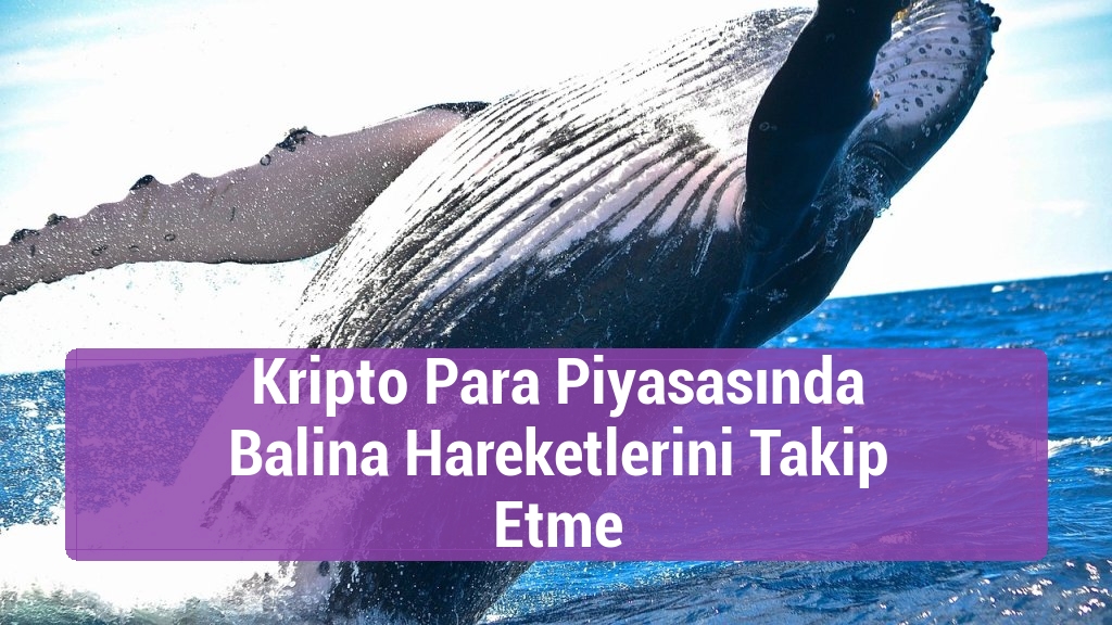 Kripto Para Piyasasında Balina Hareketlerini Takip Etme