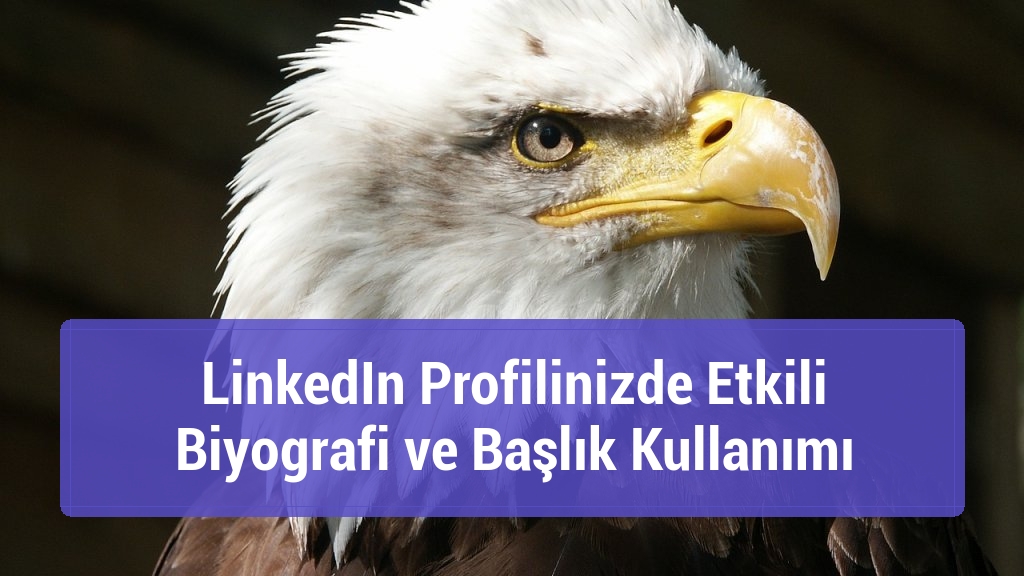 LinkedIn Profilinizde Etkili Biyografi ve Başlık Kullanımı