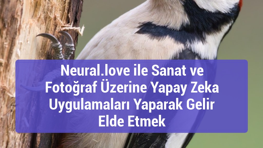 Neural.love ile Sanat ve Fotoğraf Üzerine Yapay Zeka Uygulamaları Yaparak Gelir Elde Etmek