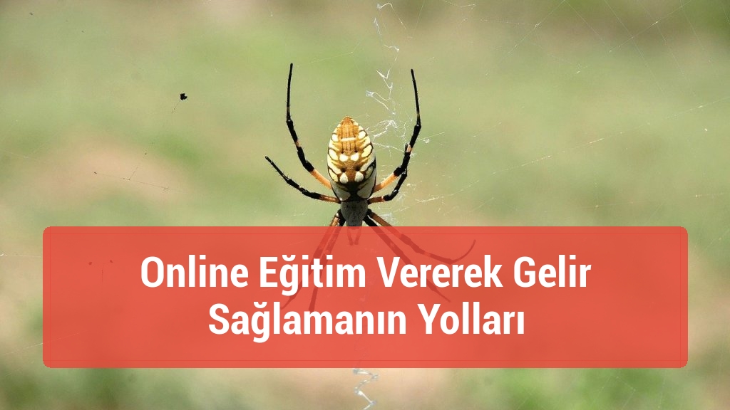 Online Eğitim Vererek Gelir Sağlamanın Yolları