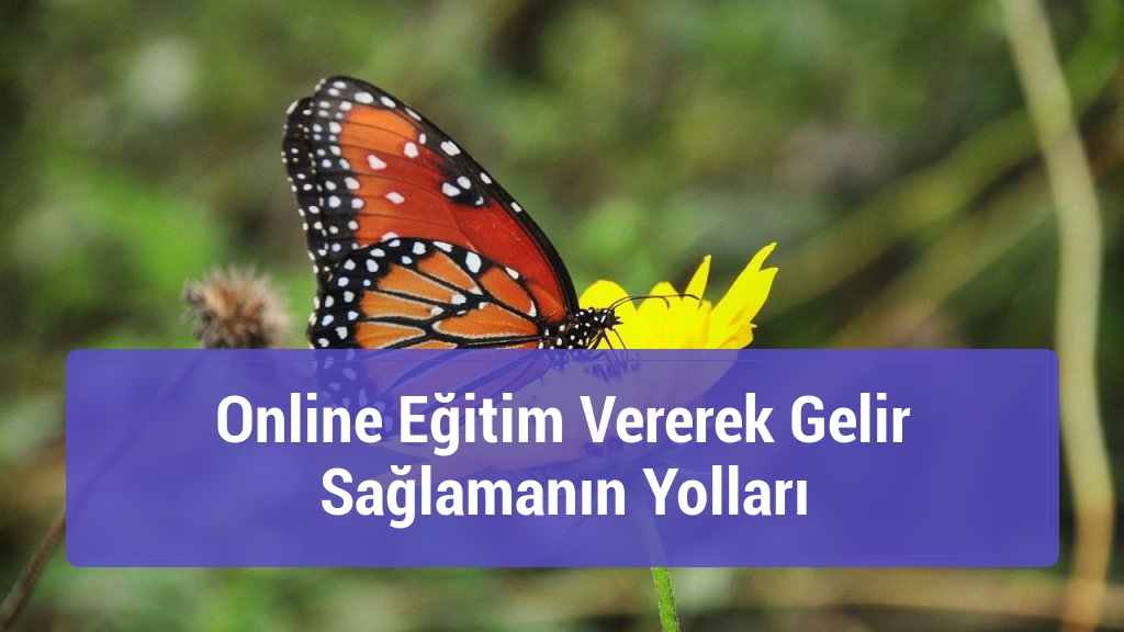 Online Eğitim Vererek Gelir Sağlamanın Yolları