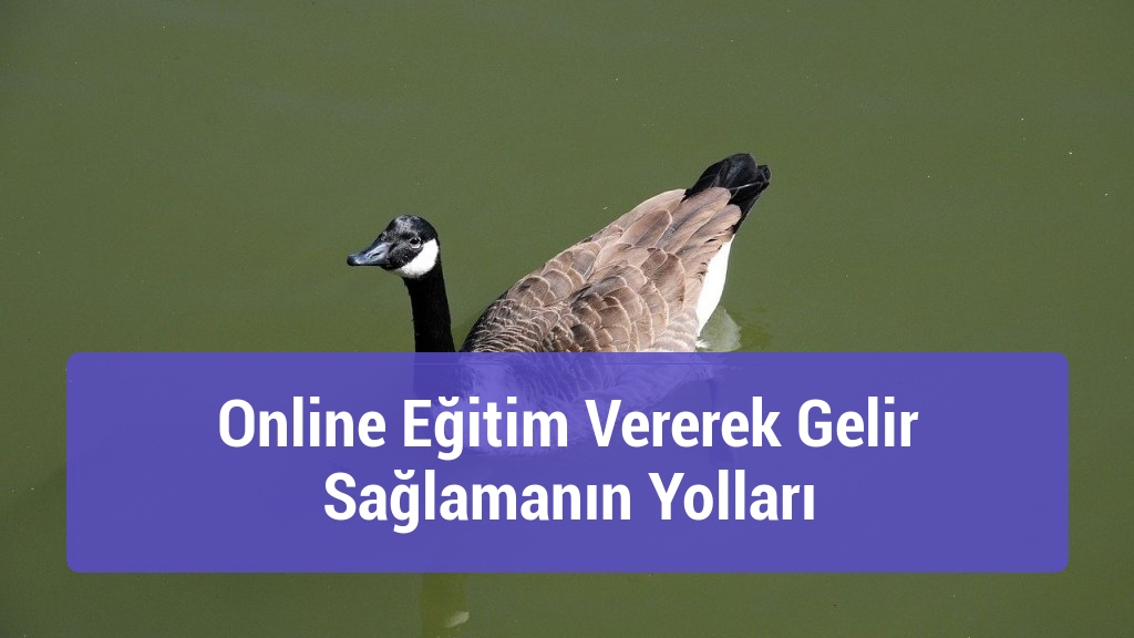 Online Eğitim Vererek Gelir Sağlamanın Yolları