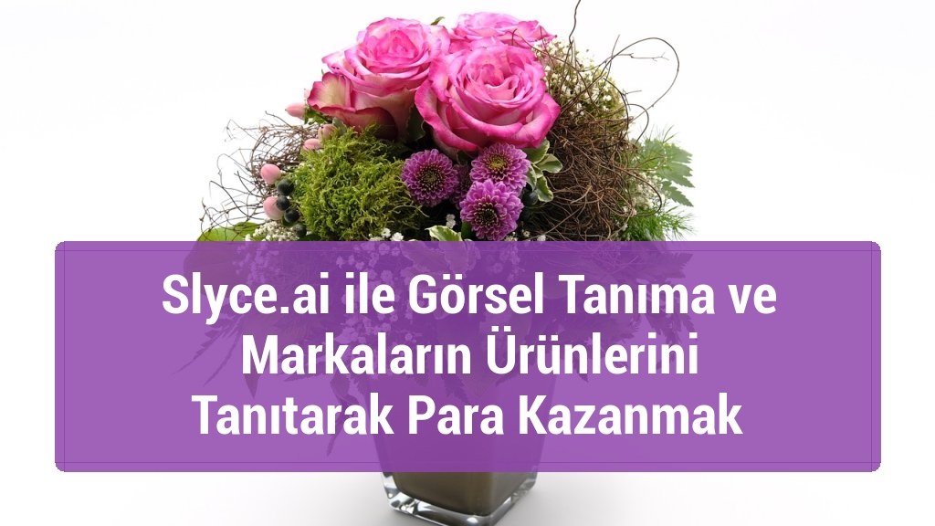 Slyce.ai ile Görsel Tanıma ve Markaların Ürünlerini Tanıtarak Para Kazanmak