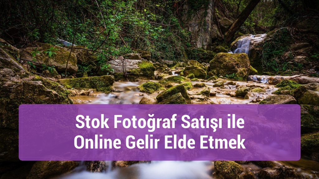 Stok Fotoğraf Satışı ile Online Gelir Elde Etmek