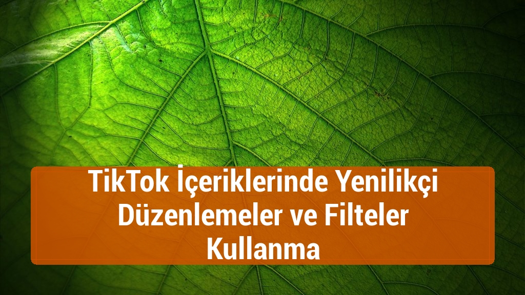 TikTok İçeriklerinde Yenilikçi Düzenlemeler ve Filteler Kullanma
