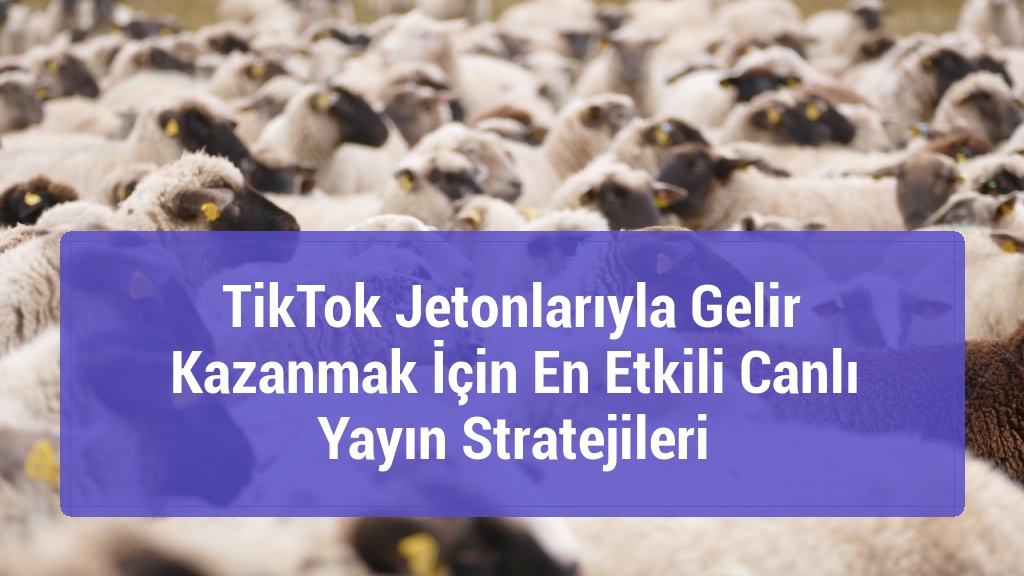 TikTok Jetonlarıyla Gelir Kazanmak İçin En Etkili Canlı Yayın Stratejileri