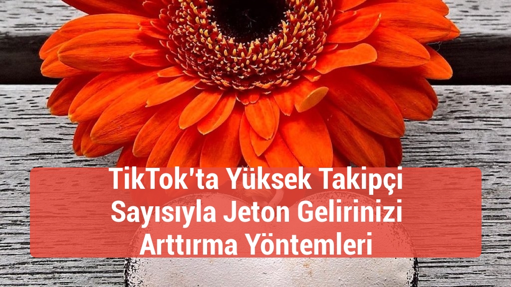 TikTok’ta Yüksek Takipçi Sayısıyla Jeton Gelirinizi Arttırma Yöntemleri