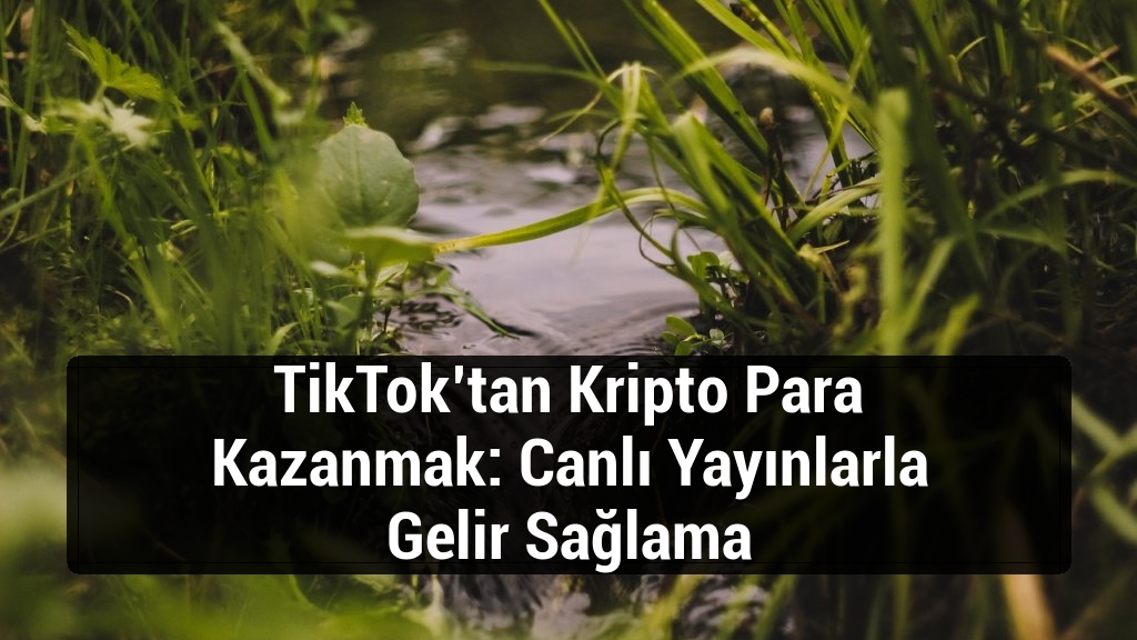 TikTok’tan Kripto Para Kazanmak: Canlı Yayınlarla Gelir Sağlama