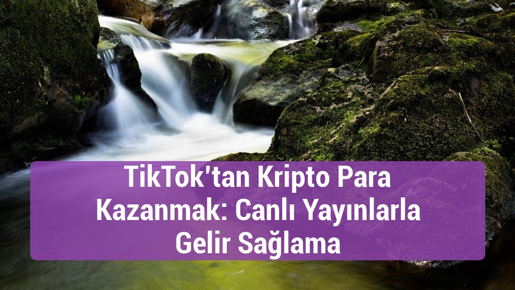 TikTok’tan Kripto Para Kazanmak: Canlı Yayınlarla Gelir Sağlama