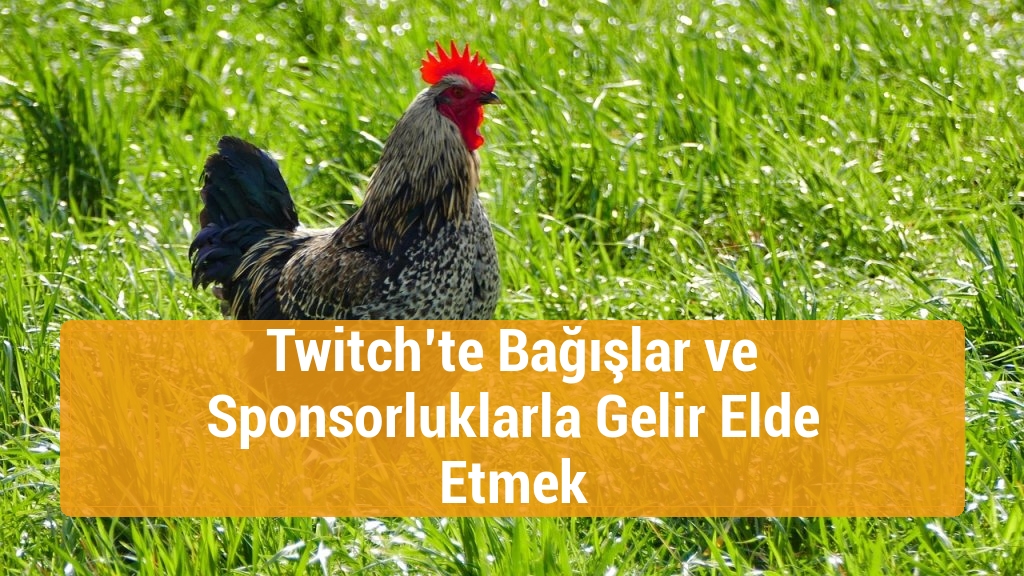 Twitch’te Bağışlar ve Sponsorluklarla Gelir Elde Etmek