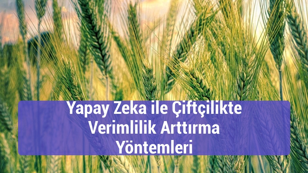 Yapay Zeka ile Çiftçilikte Verimlilik Arttırma Yöntemleri