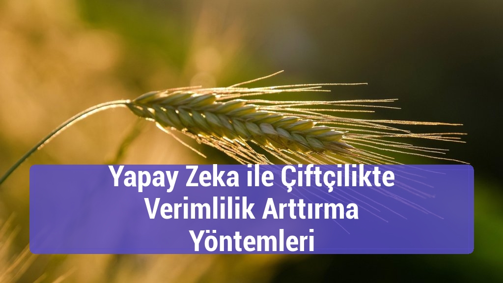 Yapay Zeka ile Çiftçilikte Verimlilik Arttırma Yöntemleri