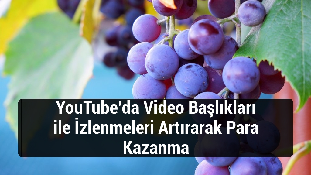 YouTube’da Video Başlıkları ile İzlenmeleri Artırarak Para Kazanma