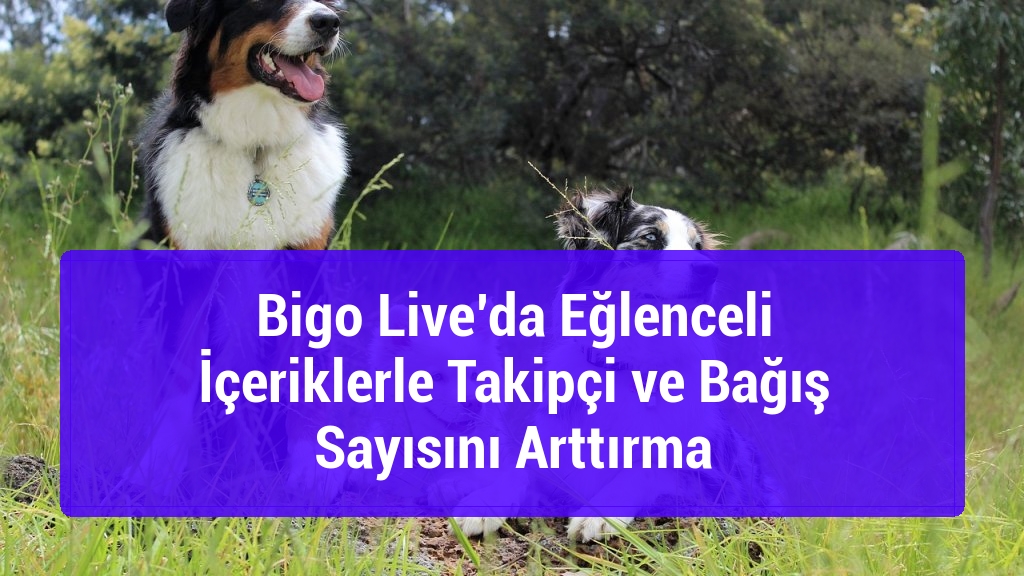 Bigo Live’da Eğlenceli İçeriklerle Takipçi ve Bağış Sayısını Arttırma