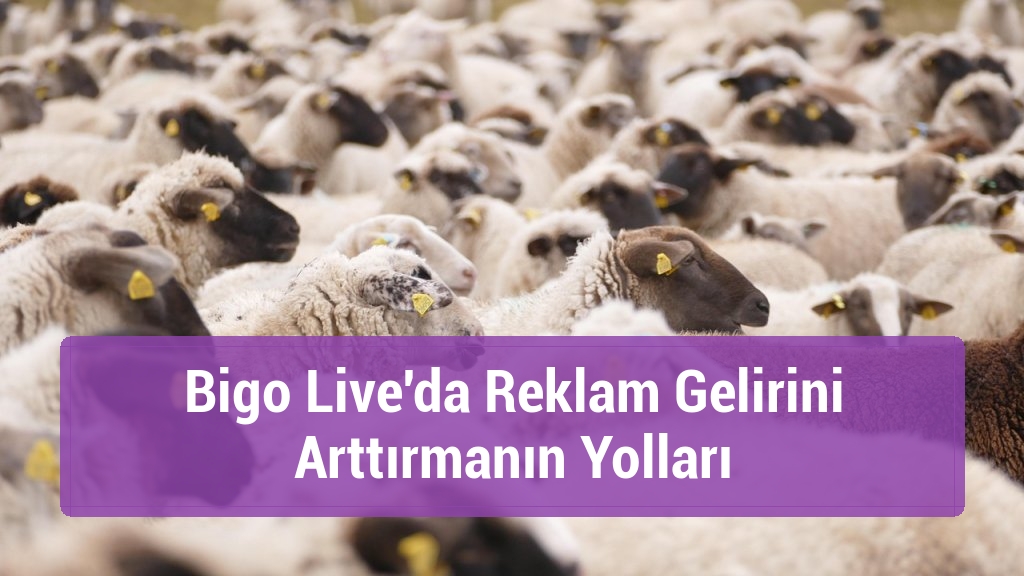 Bigo Live'da Reklam Gelirini Arttırmanın Yolları