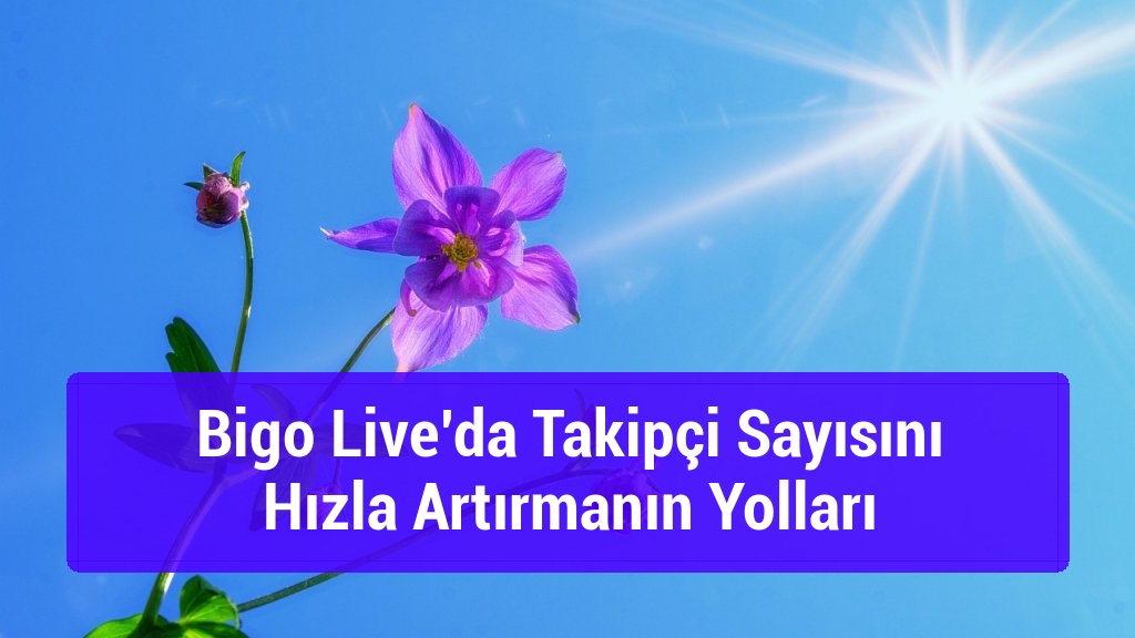 Bigo Live’da Takipçi Sayısını Hızla Artırmanın Yolları