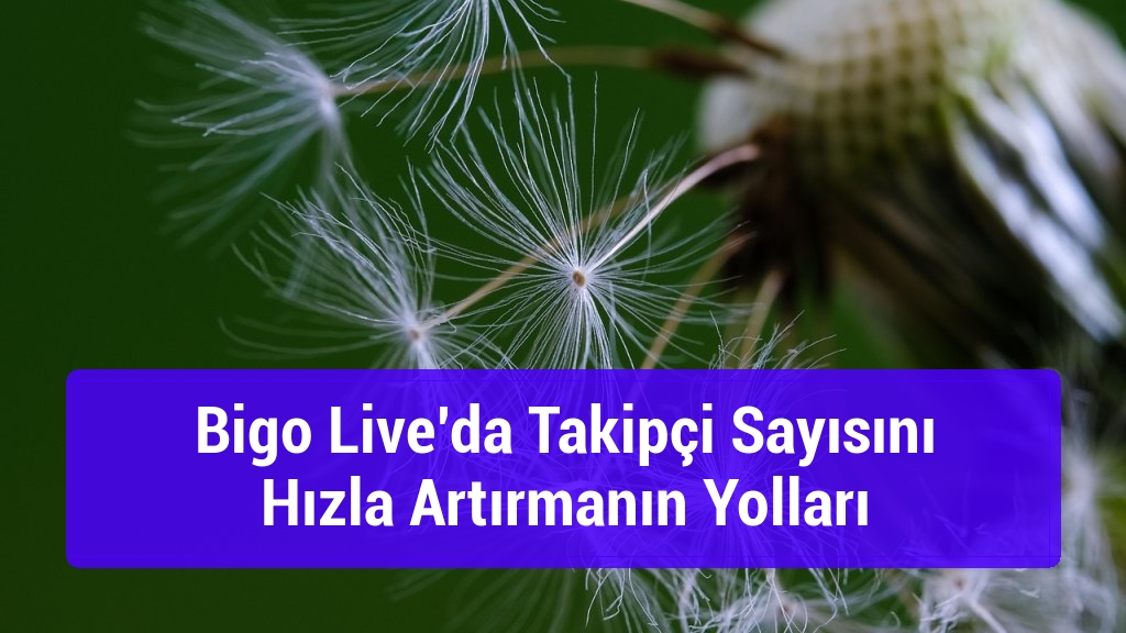Bigo Live’da Takipçi Sayısını Hızla Artırmanın Yolları
