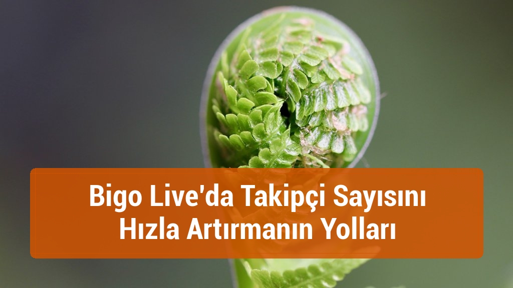 Bigo Live’da Takipçi Sayısını Hızla Artırmanın Yolları