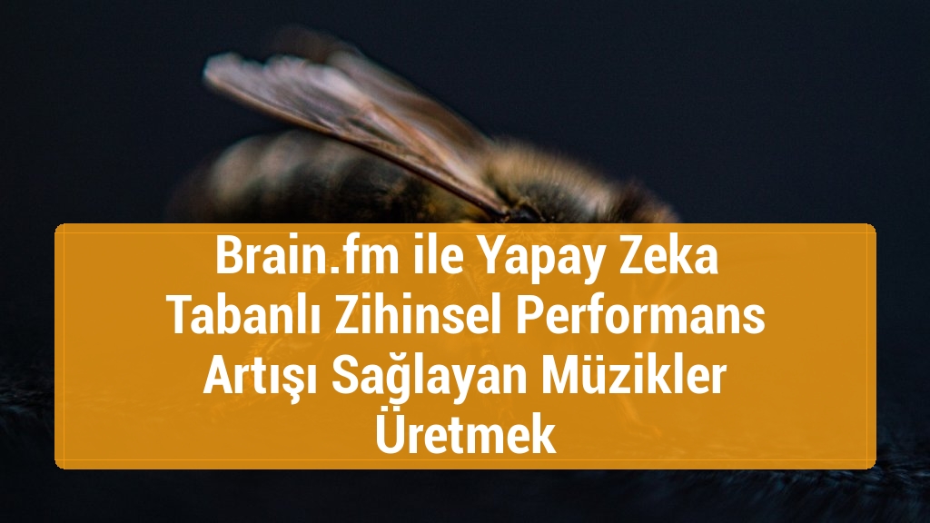 Brain.fm ile Yapay Zeka Tabanlı Zihinsel Performans Artışı Sağlayan Müzikler Üretmek