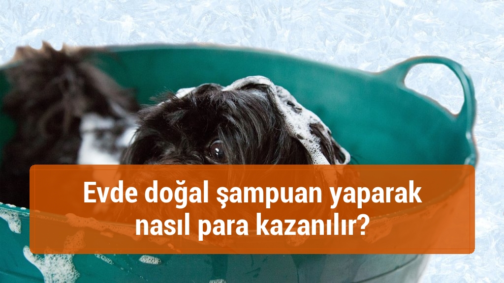 Evde doğal şampuan yaparak nasıl para kazanılır?