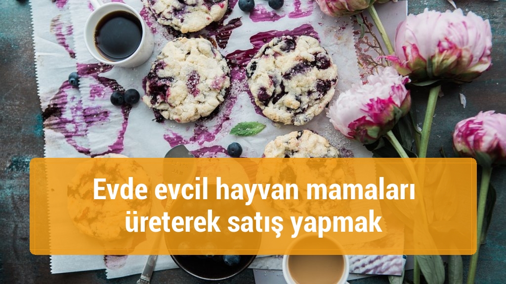 Evde evcil hayvan mamaları üreterek satış yapmak