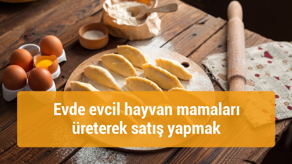 Evde evcil hayvan mamaları üreterek satış yapmak