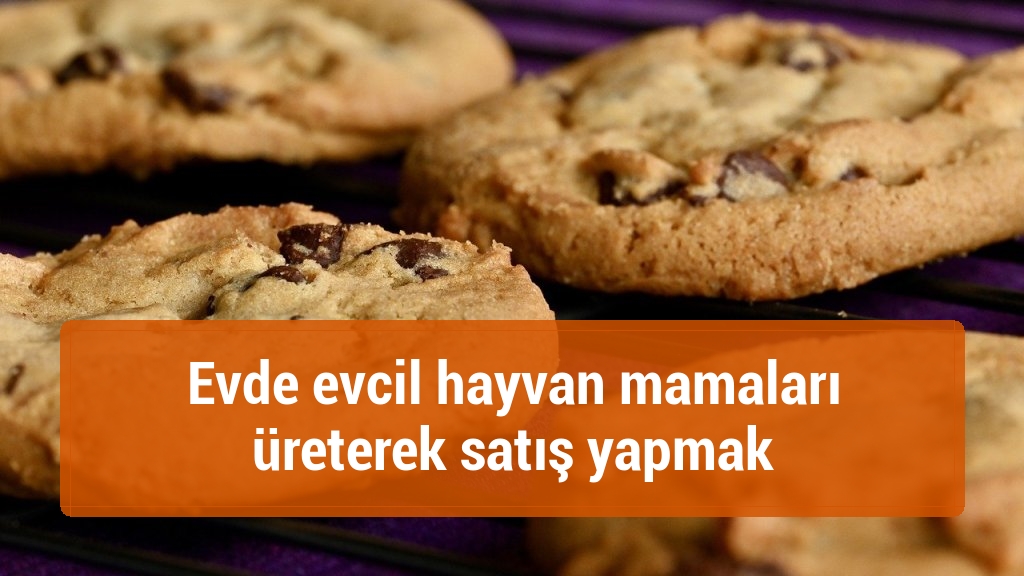 Evde evcil hayvan mamaları üreterek satış yapmak