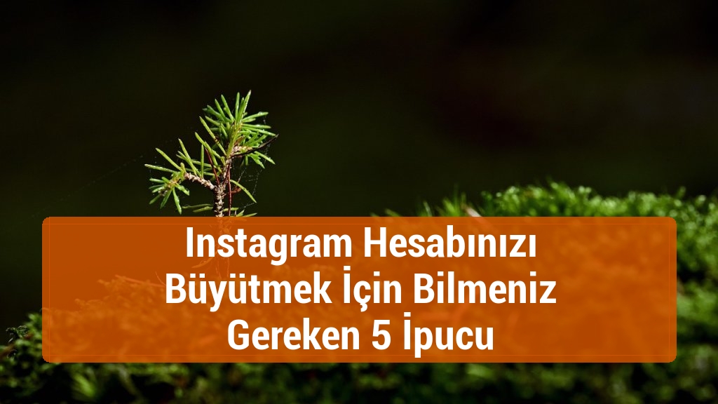 Instagram Hesabınızı Büyütmek İçin Bilmeniz Gereken 5 İpucu